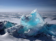 尤文高层被控参与苏牙考试作弊 帕拉蒂奇接受调查